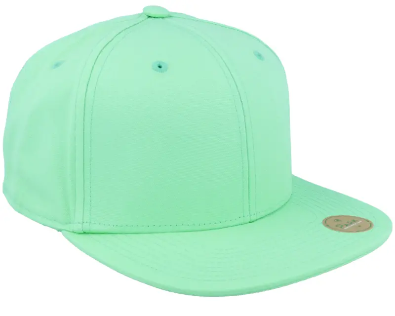 Park Teal Sustainable Snapback online