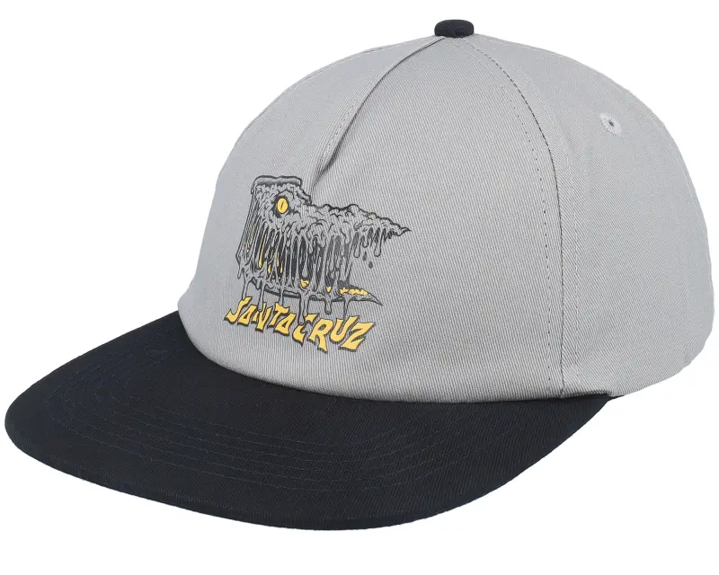 Santa Cruz Braun Fever Dream Stone Grey/Black Snapback online