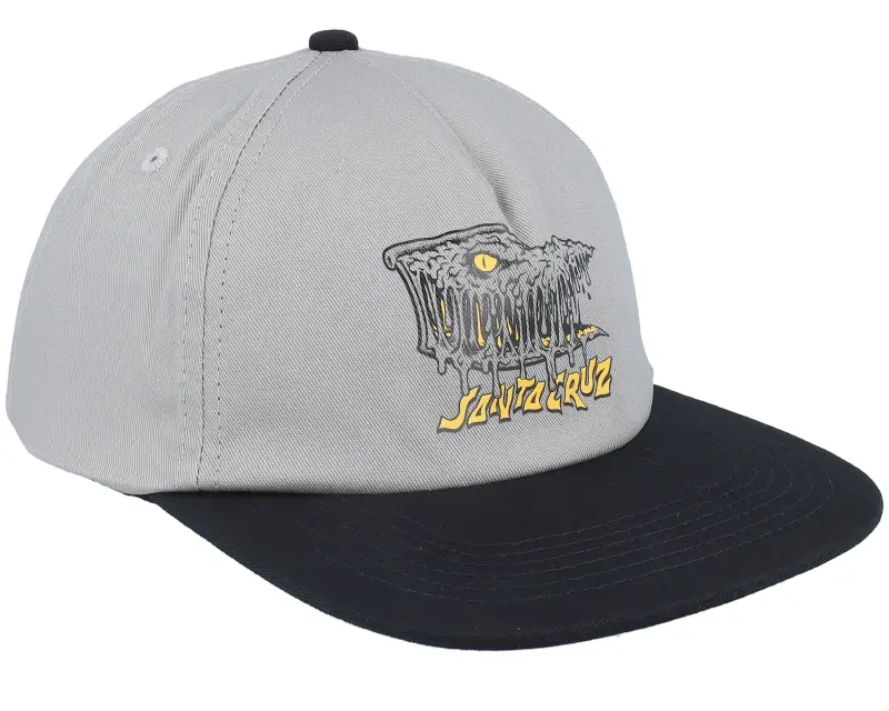 Santa Cruz Braun Fever Dream Stone Grey/Black Snapback online