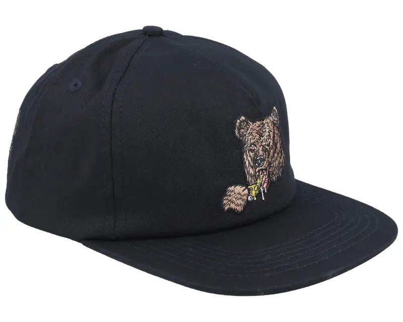 Santa Cruz Braun Great Outdoors Black Snapback online