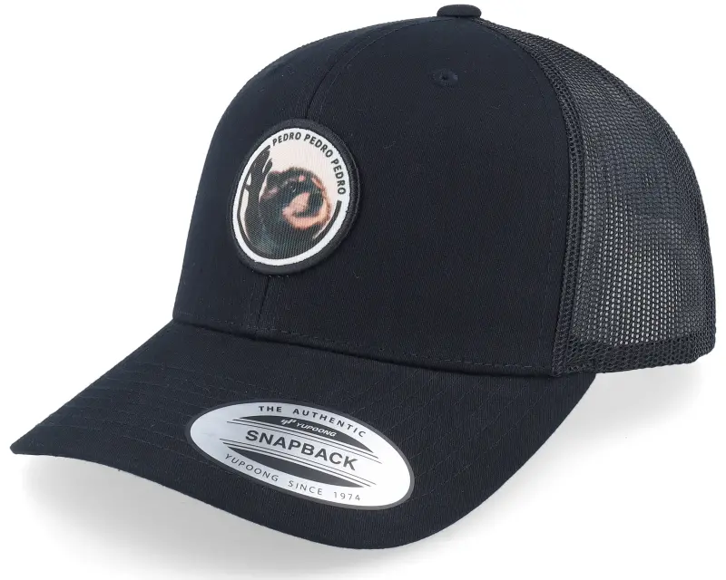 Scenes Raccoon Pedro Round Patch Black Trucker online