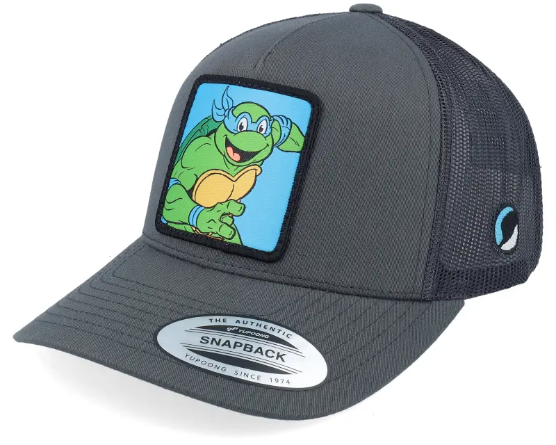 TMNT Leonardo Box Grey/Black A-Frame Trucker online