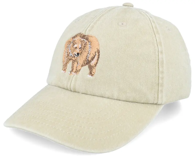 Wild Spirit Grizzly Bear Embroidery Khaki Dad Cap online
