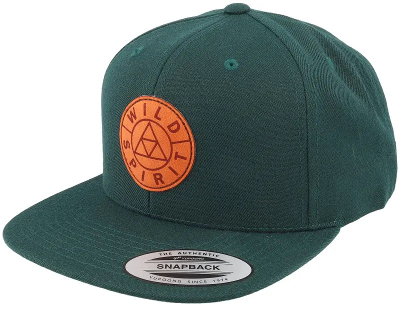 Wild Spirit Logo Basic Mountain Classic Spruce Snapback online