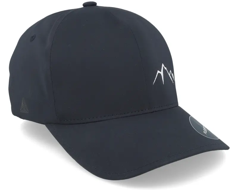 Wild Spirit Small Mountain Delta Black Flexfit online