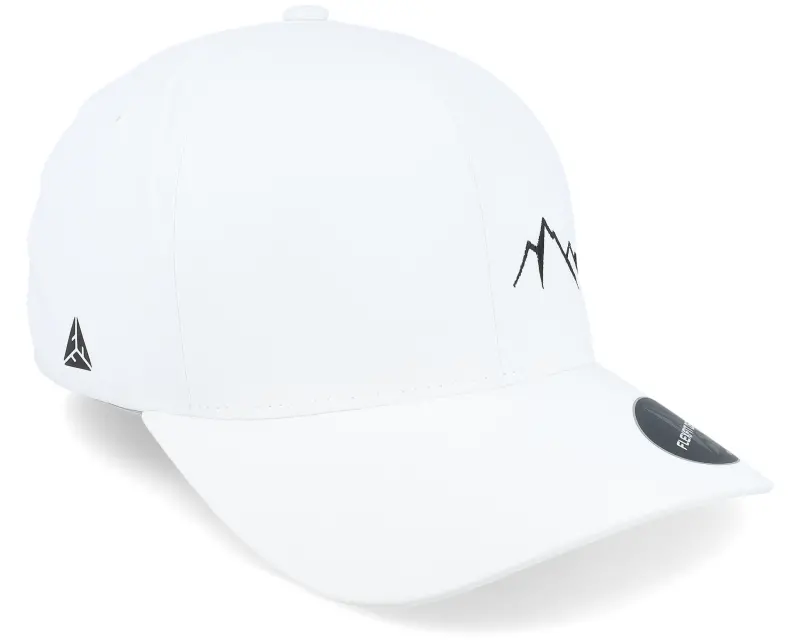 Wild Spirit Small Mountain Delta White Flexfit online
