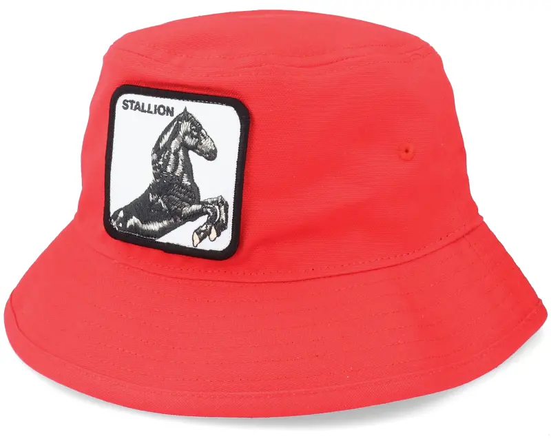 Goorin Bros. I’m A Little Hoarse Red Bucket online