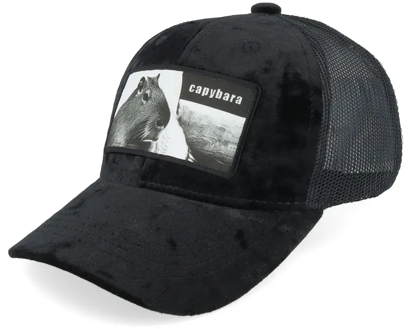 Calza Pennello Kids Capybara Sofa Velvet Black Trucker online