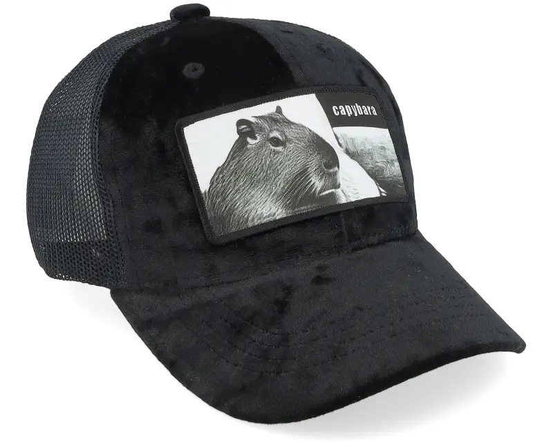 Calza Pennello Kids Capybara Sofa Velvet Black Trucker online