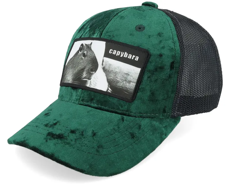Calza Pennello Kids Capybara Sofa Velvet Green/Black Trucker online