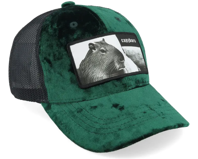 Calza Pennello Kids Capybara Sofa Velvet Green/Black Trucker online