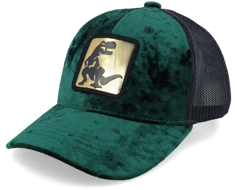 Calza Pennello Kids Dino Gold Patch Velvet Green/Black Trucker online