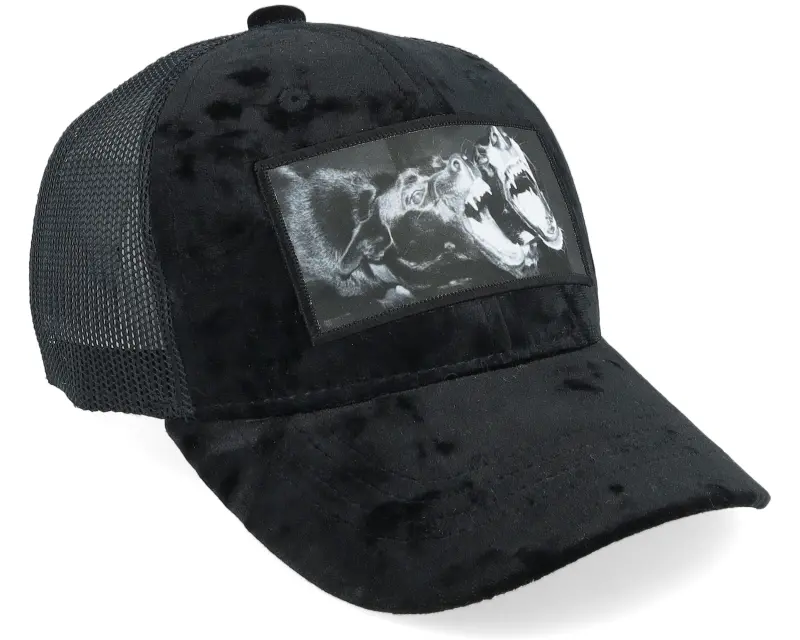Calza Pennello Kids Dogs Velvet Black Trucker online