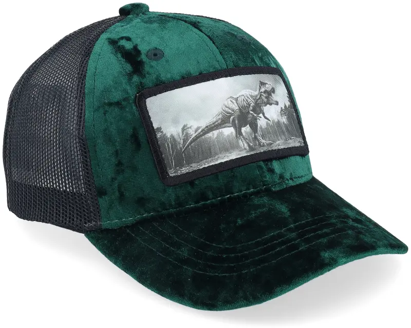 Calza Pennello Kids T-rex Dino Patch Velvet Green/Black Trucker online