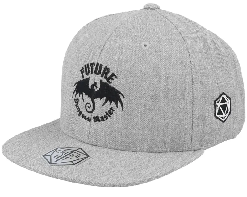 Critiql Hit Kids Future Dungeon Master Grey Snapback online