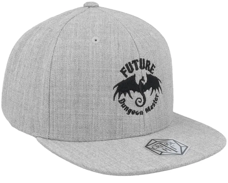 Critiql Hit Kids Future Dungeon Master Grey Snapback online