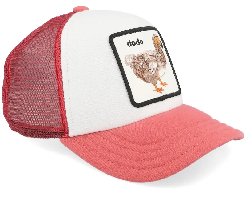 Goorin Bros. Dodo Kiddo Res A-Frame Trucker online