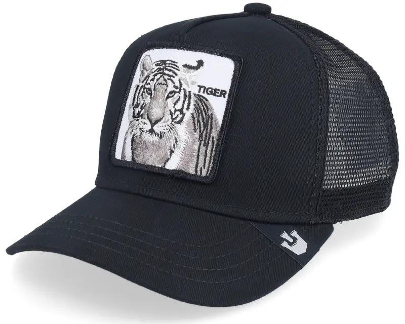 Goorin Bros. Kids Earn Your Stripes Black Trucker online