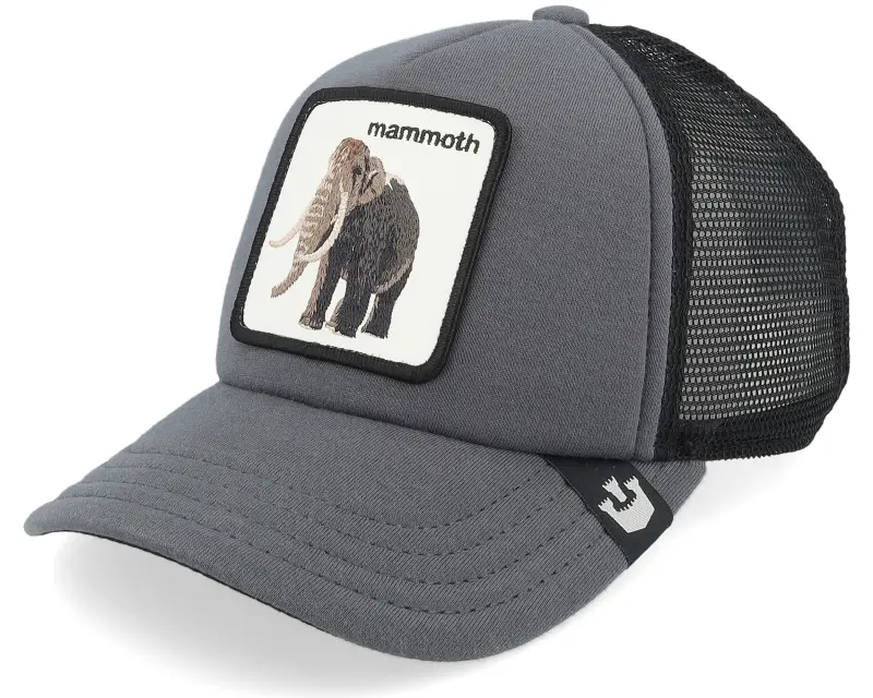 Goorin Bros. Kids Fuzzy Trunk Extinct Charchaol/Black Trucker online