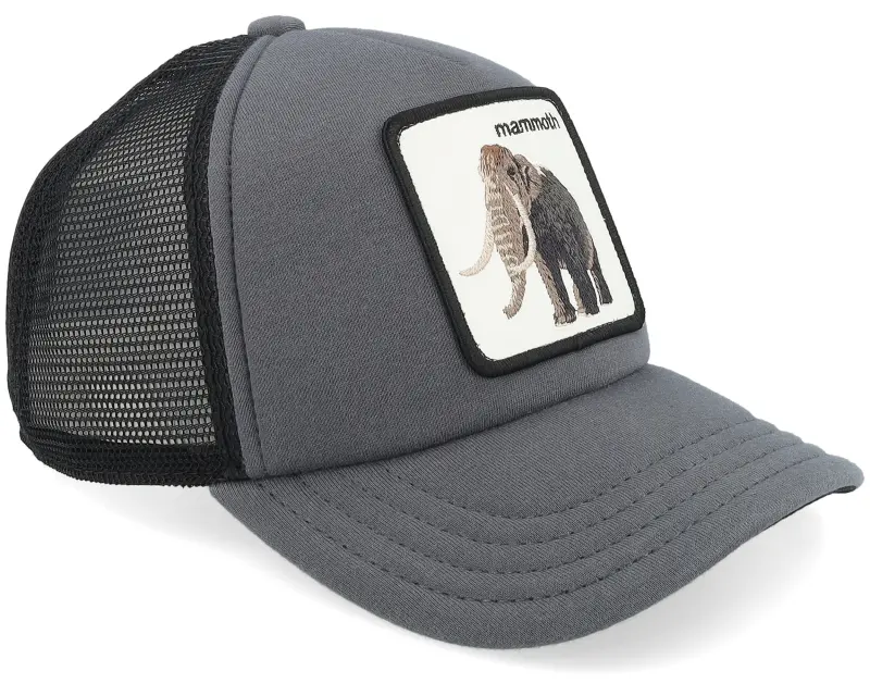 Goorin Bros. Kids Fuzzy Trunk Extinct Charchaol/Black Trucker online