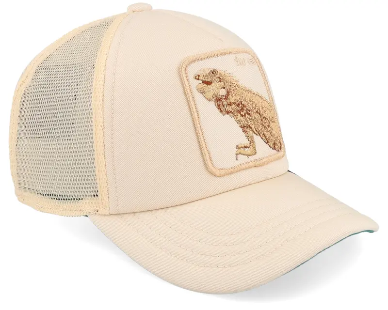 Goorin Bros. Kids Lil Far Out Chroma Wave Sand A-Frame Trucker online