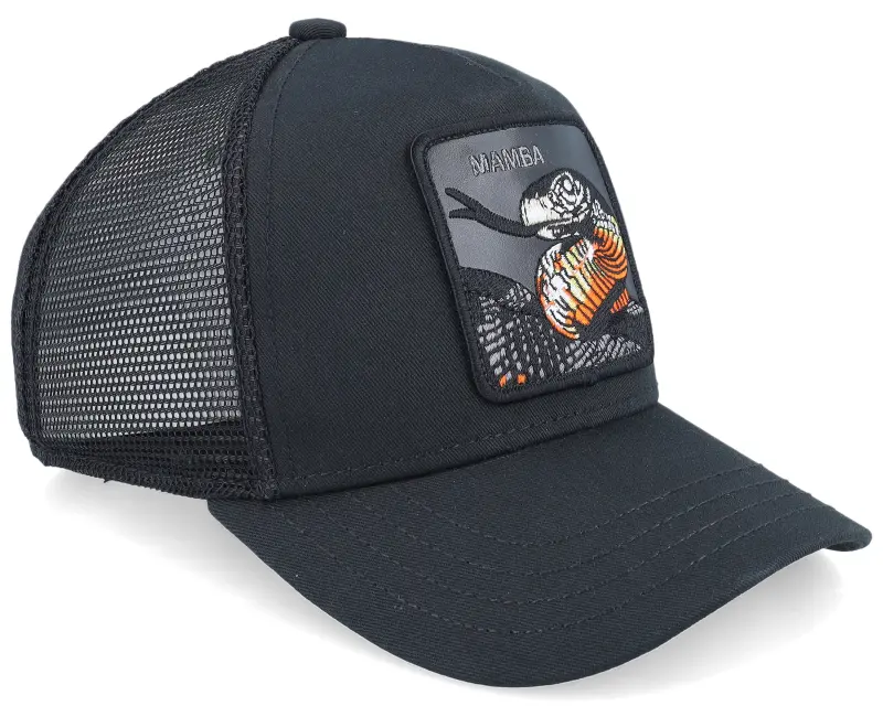 Goorin Bros. Kids Little Mamba Black A-Frame Trucker online