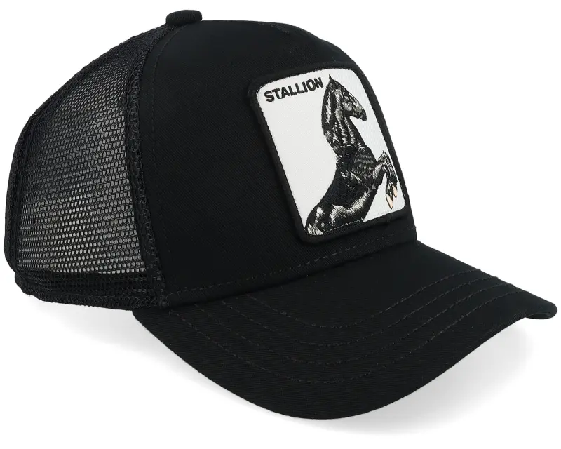 Goorin Bros. Kids Little Stallion Black Trucker online