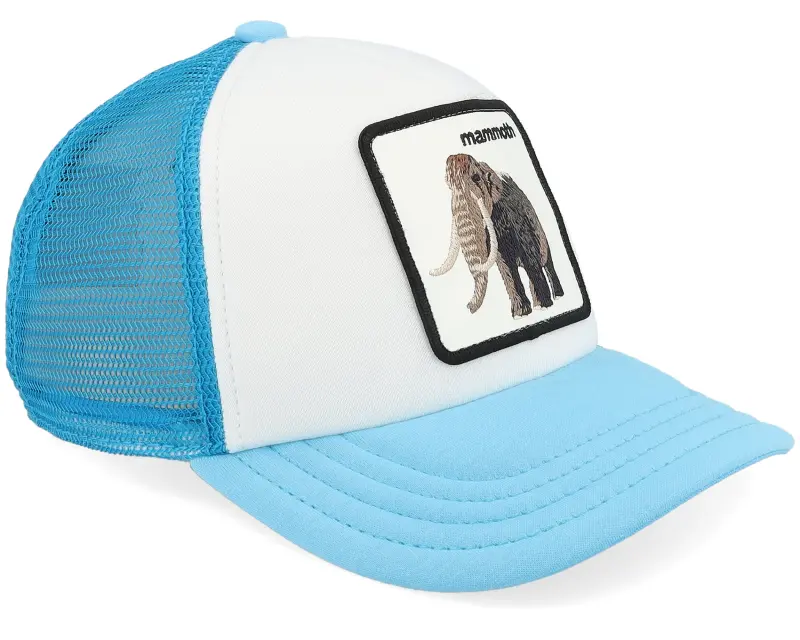 Goorin Bros. Kids Mammoth Kiddo Light White/Blue A-Frame Trucker online