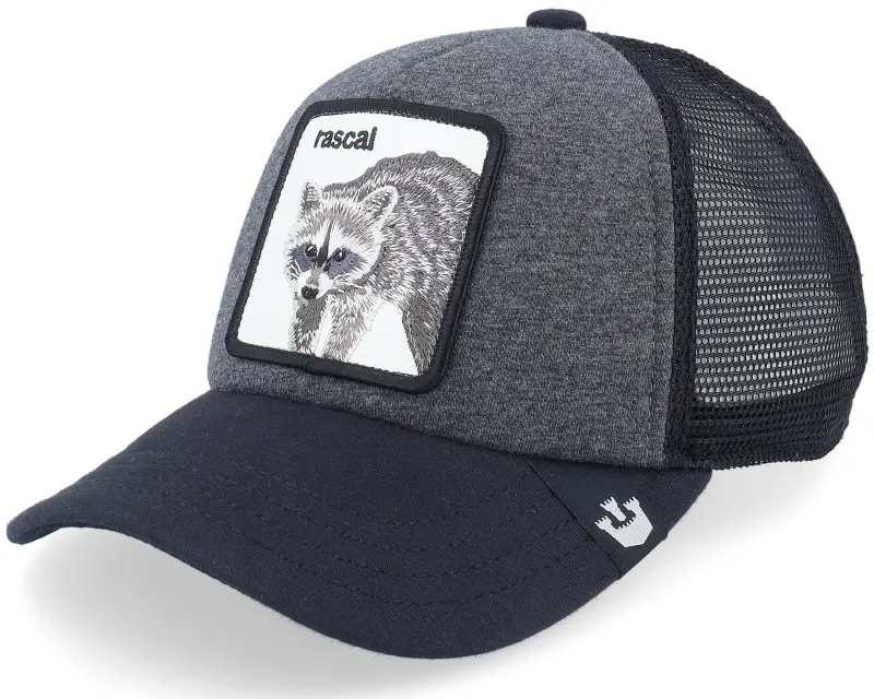 Goorin Bros. Kids Racacoonie Charcoal/Navy A-Frame Trucker online