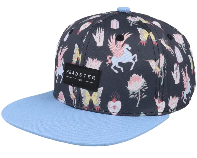 Headster Pegasus Deep Charcoal Snapback online