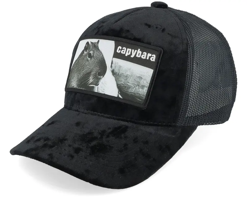 Iconic Kids Youth Capybara Sofa Velvet Black Trucker online