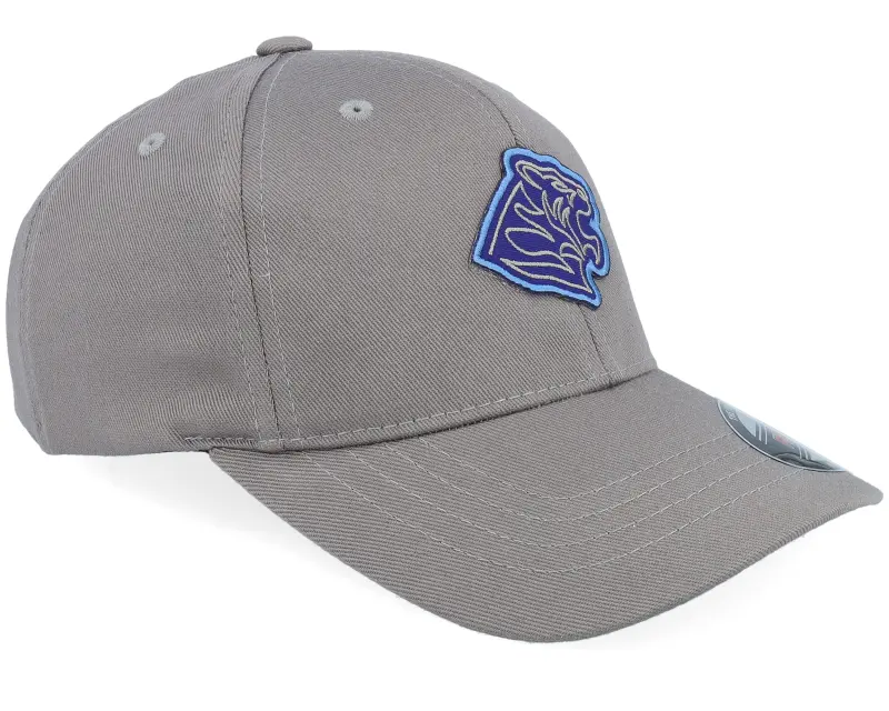 Kiddo Cap Kids Blue Tiger Patch Grey Flexfit online