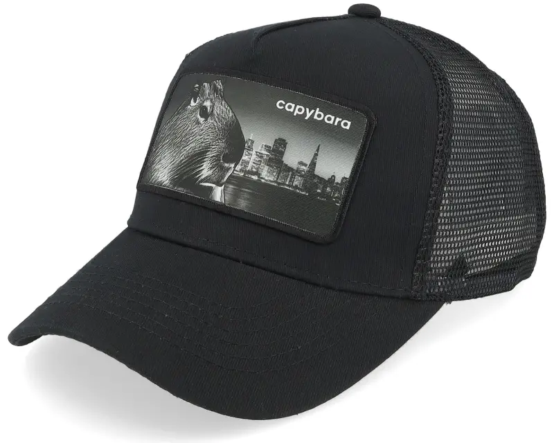 Kiddo Cap Kids Capybara Black A-frame Trucker online
