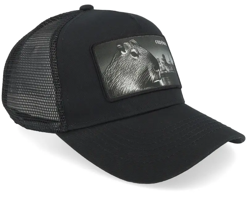 Kiddo Cap Kids Capybara Black A-frame Trucker online