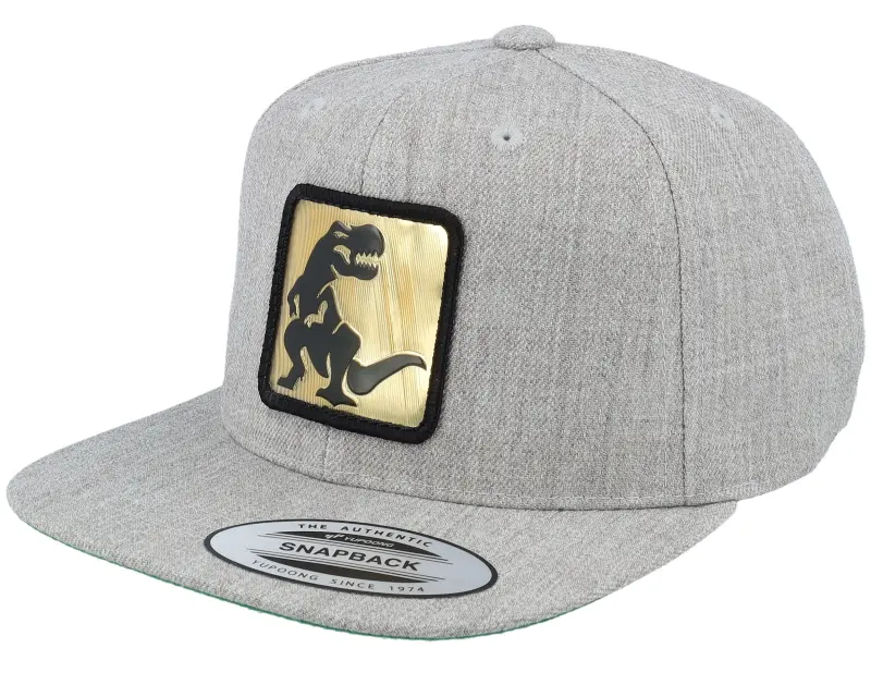 Kiddo Cap Kids Dino Gold Patch Heather Grey Snapback online