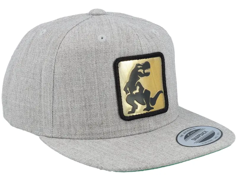 Kiddo Cap Kids Dino Gold Patch Heather Grey Snapback online