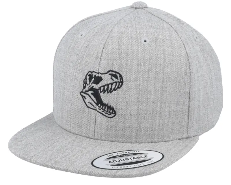 Kiddo Cap Kids Dino Skull T-Rex Heather Grey Snapback online