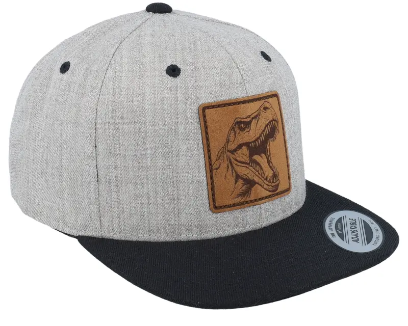 Kiddo Cap Kids Dinosaur T-rex Heather Grey/Black Snapback online