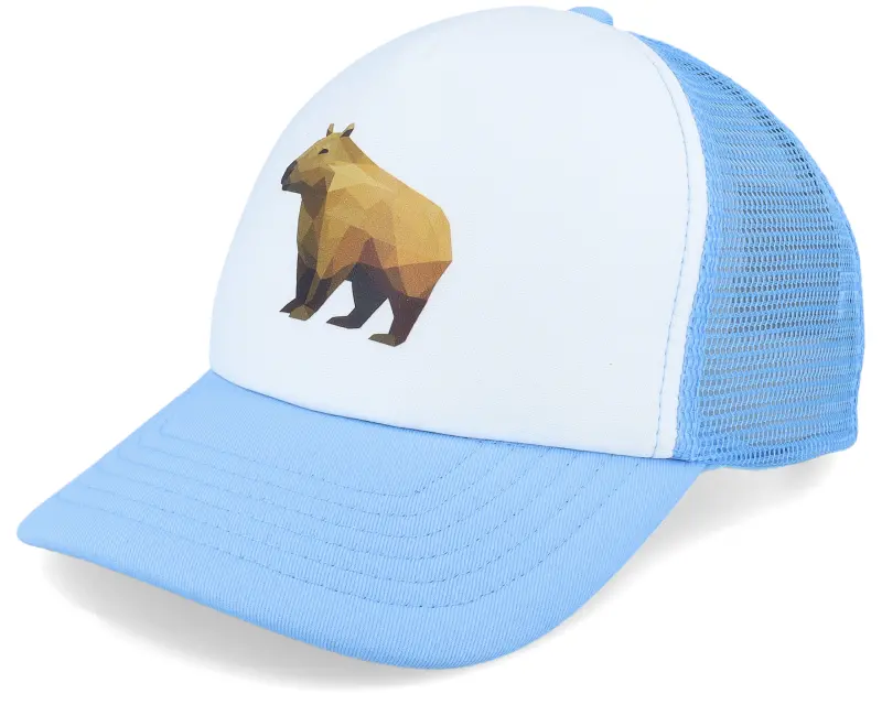 Kiddo Cap Kids Geometry Capybara Skyblue/White Foam Trucker online