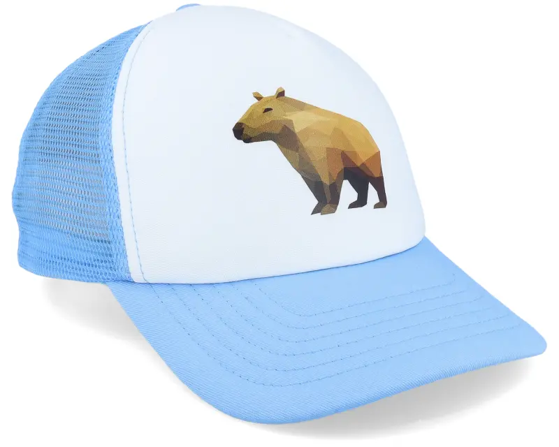 Kiddo Cap Kids Geometry Capybara Skyblue/White Foam Trucker online