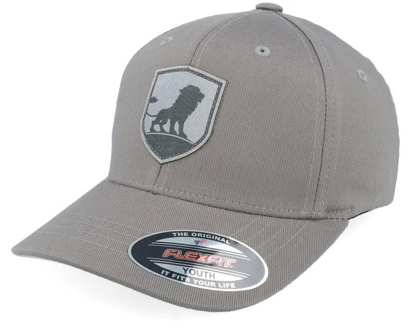 Kiddo Cap Kids King On The Hill Lion Grey Flexfit online