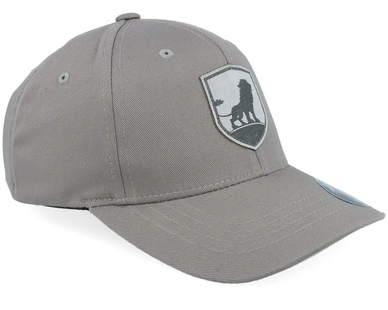 Kiddo Cap Kids King On The Hill Lion Grey Flexfit online