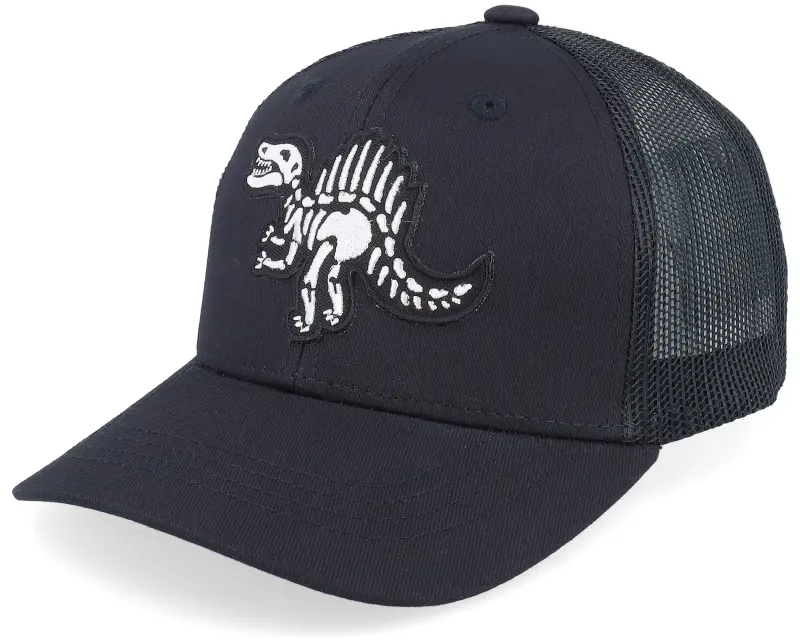 Kiddo Cap Kids Spinosaurus Skeleton Patch Black Trucker online