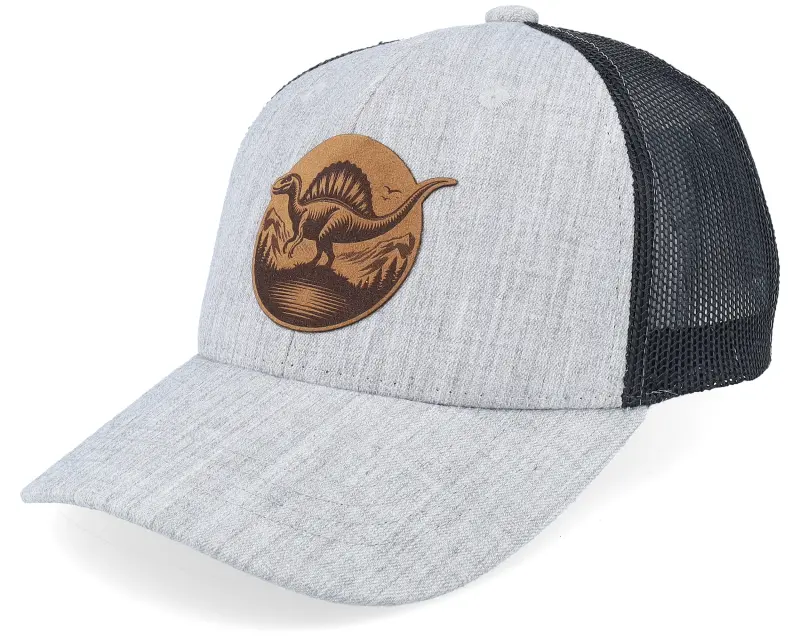 Kiddo Cap Kids Stegosaurus Patch Heather Grey/Black Trucker online