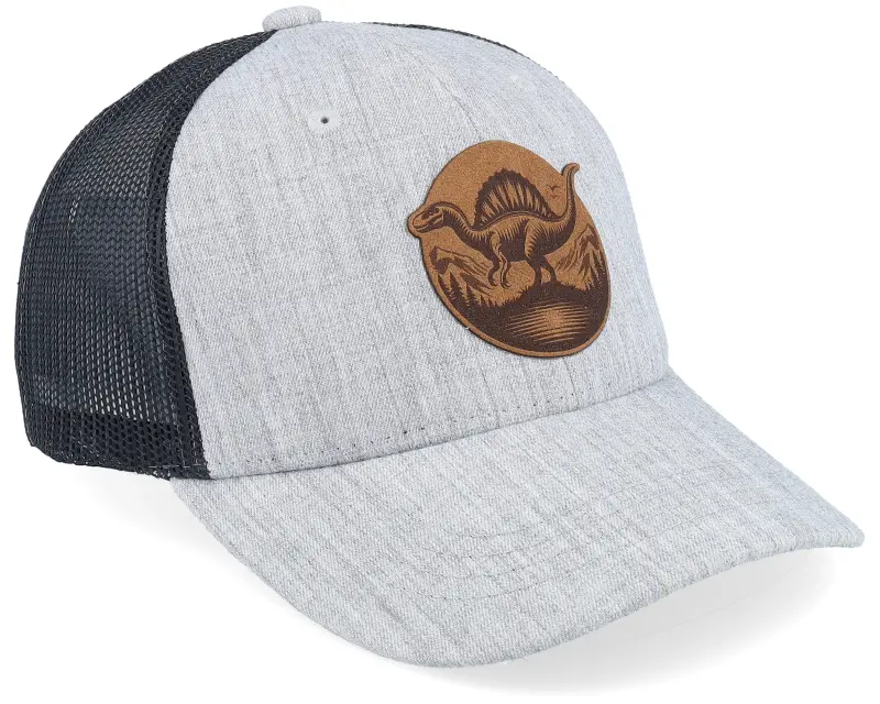 Kiddo Cap Kids Stegosaurus Patch Heather Grey/Black Trucker online
