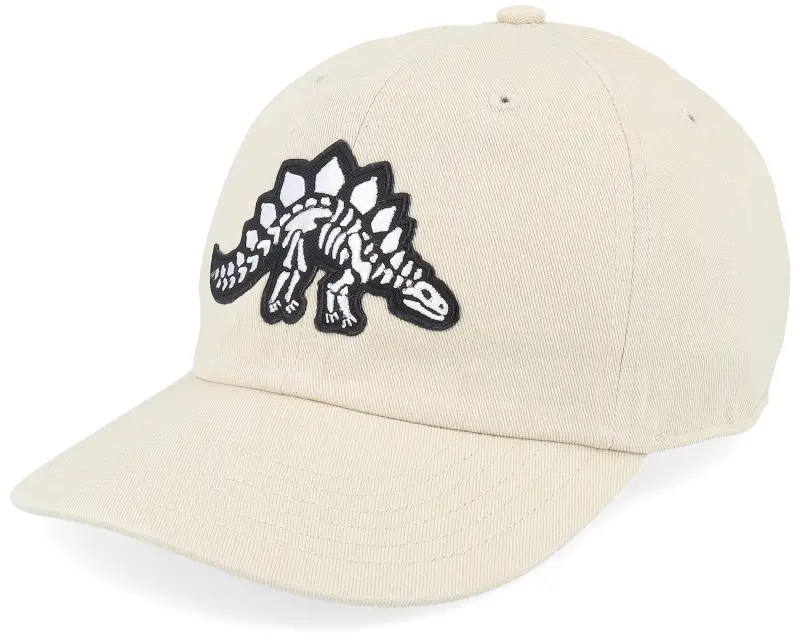 Kiddo Cap Kids Stegosaurus Skeleton Patch Stone Dad Cap online