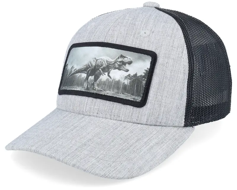 Kiddo Cap Kids T-rex Dino Heather Grey/Black Trucker online