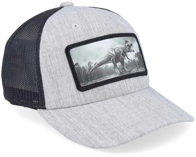Kiddo Cap Kids T-rex Dino Heather Grey/Black Trucker online