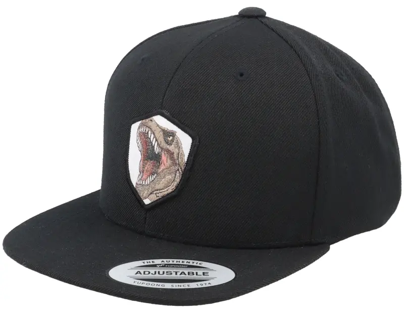 Kiddo Cap Kids T-rex Dino Wooven Patch Black Snapback online