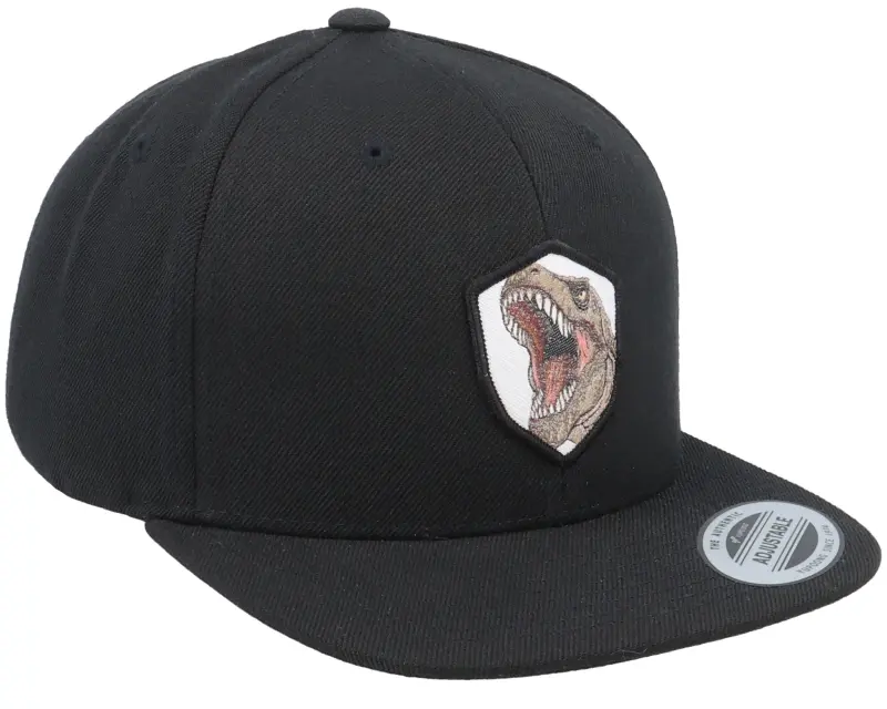 Kiddo Cap Kids T-rex Dino Wooven Patch Black Snapback online